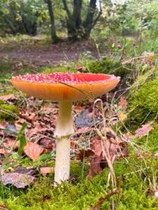 66ad7f36-476c-42bd-96b3-d7c99acc2978