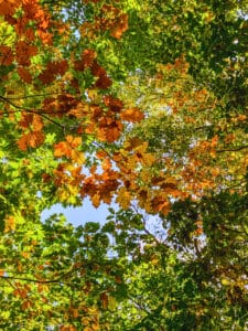 b6322457-fa29-4dfc-959b-97dfad58a07b