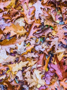 c25a3afa-c282-4dbf-a5d6-375ef96c875d